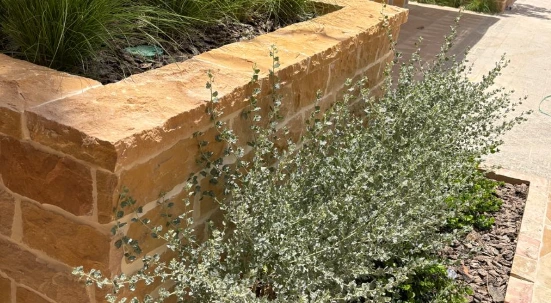 Riyadh Yellow Limestone landscape wall cladding and coping